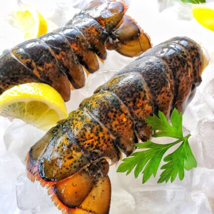 Maine Cold Water Lobster Tails 8 To 10 oz EACH  - BUY & GET