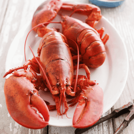 Surf n Turf Bundle - Whole Lobster and 10 oz Rib Eye Steak