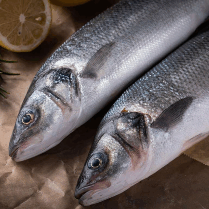 Branzino Fish - Fresh, Whole, Mediterranean, (1 - 1.25 lbs Each)