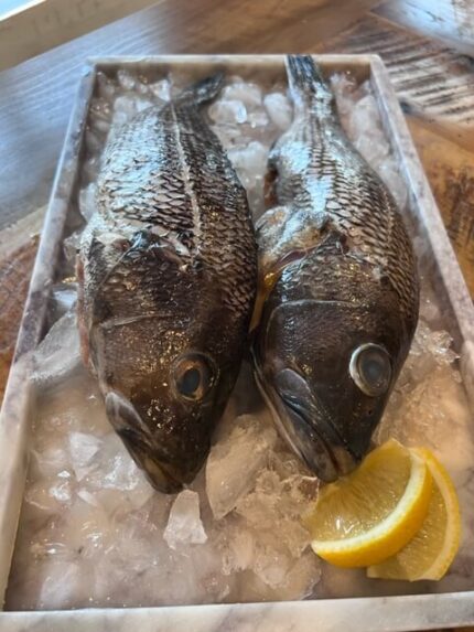 Black Sea Bass - Whole, Wild Caught,  1 1/2-2 lb Ea.